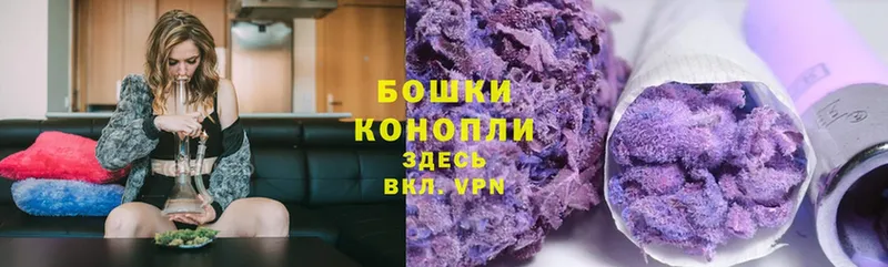 Бошки Шишки SATIVA & INDICA  mega ссылка  Тулун  закладки 